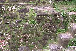 [There is no picturehere] width=150 height=119