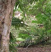 [There is no picturehere] width=150 height=119